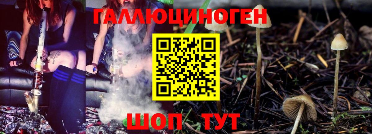 Брянск  Галлюциногенные грибы мицелий  Вход с VPN 